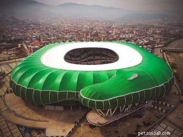 27 Animal-Inspired Buildings That Astonish the World
