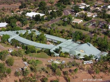 27 Animal-Inspired Buildings That Astonish the World