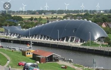 27 Animal-Inspired Buildings That Astonish the World