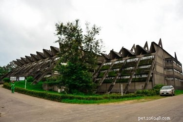27 Animal-Inspired Buildings That Astonish the World