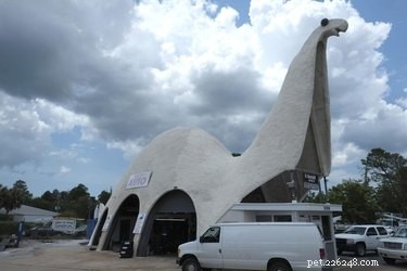 27 Animal-Inspired Buildings That Astonish the World