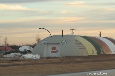 27 Animal-Inspired Buildings That Astonish the World