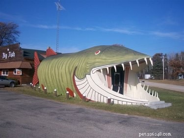 27 Animal-Inspired Buildings That Astonish the World