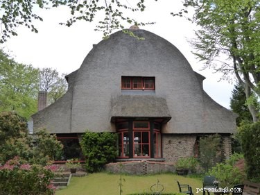 27 Animal-Inspired Buildings That Astonish the World