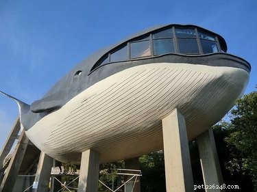 27 Animal-Inspired Buildings That Astonish the World