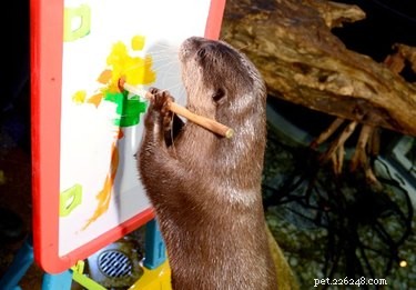 19 Adorable Otters That Will Melt Your Heart