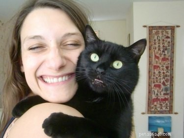 20 Pets That Believe It s Time to Get Out and Explore
