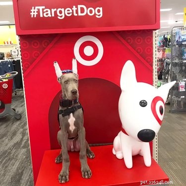 18 Trending Pet Names That Made Social Media Buzz This Month