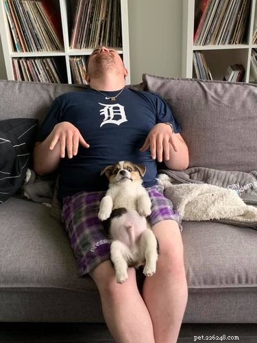 18 Trending Pet Names That Made Social Media Buzz This Month