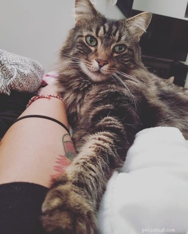 18 Trending Pet Names That Made Social Media Buzz This Month