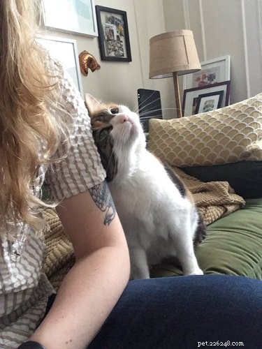 18 Pets Revealed: What They re Really Thinking