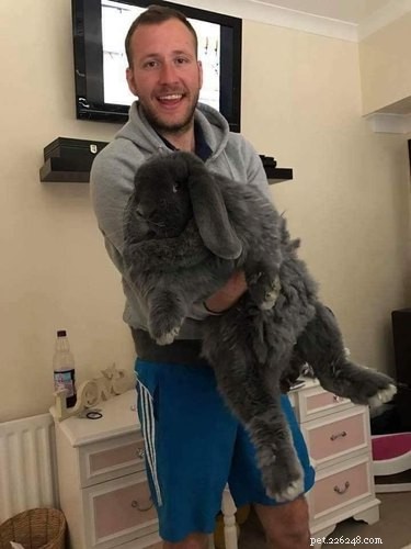 21 Charming Bunnies Guaranteed to Warm Your Heart