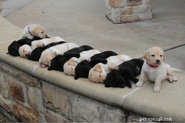 16 Charming Animal Photos That Will Brighten Your Day