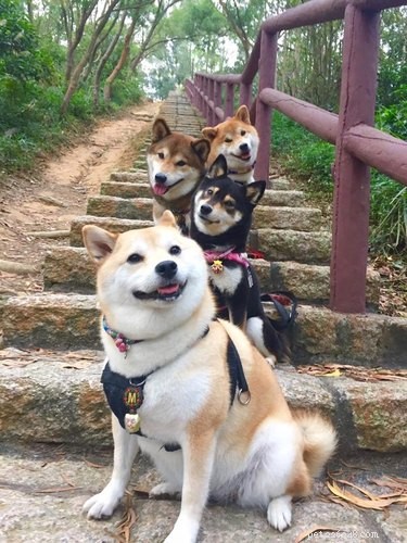 16 Charming Animal Photos That Will Brighten Your Day