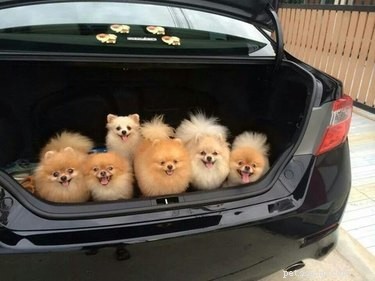 16 Charming Animal Photos That Will Brighten Your Day