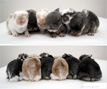 16 Charming Animal Photos That Will Brighten Your Day