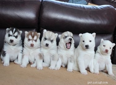 16 Charming Animal Photos That Will Brighten Your Day