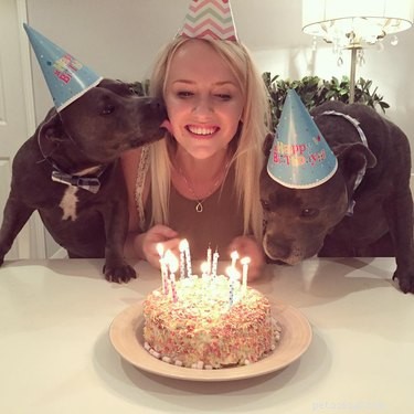 17 Pets That Turn Every Party Into a Celebration