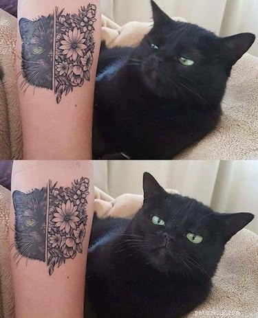 17 Animal Memes That’ll Make You Laugh: The  Am I a Joke to You?  Collection