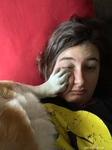 17 Things Corgis Absolutely Disapprove Of