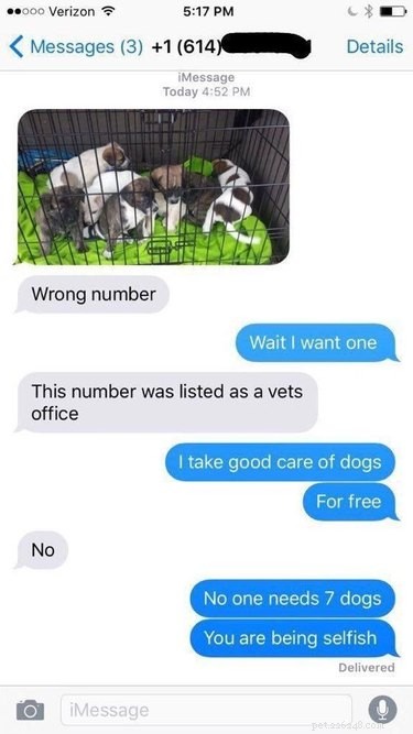 Top 20 Must-See Pet Tweets