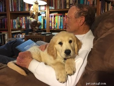 20 Real-Life Stories of Families Who Stubbornly Rejected Adding More Pets