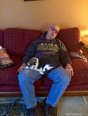 20 Real-Life Stories of Families Who Stubbornly Rejected Adding More Pets