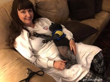 20 Real-Life Stories of Families Who Stubbornly Rejected Adding More Pets