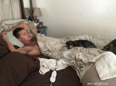 20 Real-Life Stories of Families Who Stubbornly Rejected Adding More Pets