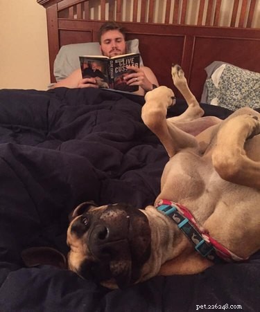 20 Real-Life Stories of Families Who Stubbornly Rejected Adding More Pets