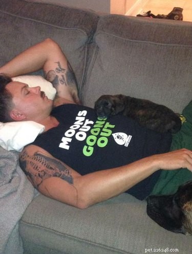 20 Real-Life Stories of Families Who Stubbornly Rejected Adding More Pets