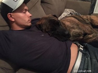 20 Real-Life Stories of Families Who Stubbornly Rejected Adding More Pets