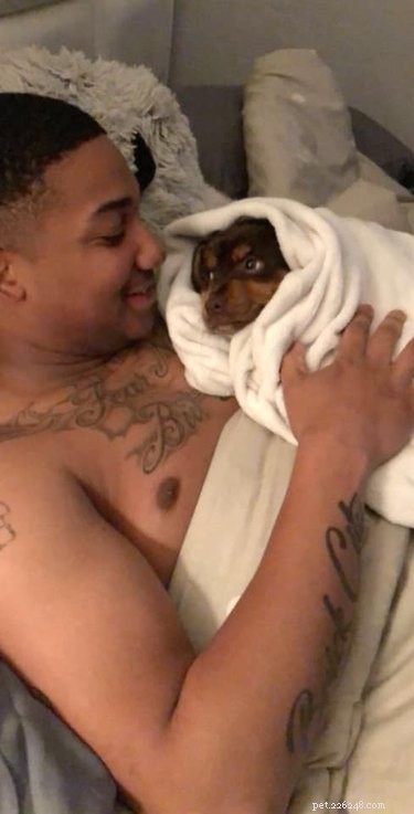 20 Real-Life Stories of Families Who Stubbornly Rejected Adding More Pets