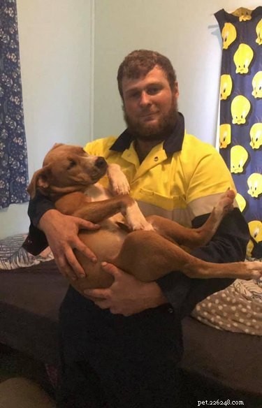 20 Real-Life Stories of Families Who Stubbornly Rejected Adding More Pets