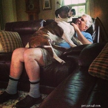 20 Real-Life Stories of Families Who Stubbornly Rejected Adding More Pets