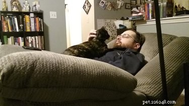 20 Real-Life Stories of Families Who Stubbornly Rejected Adding More Pets