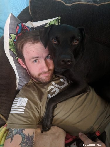 20 Real-Life Stories of Families Who Stubbornly Rejected Adding More Pets