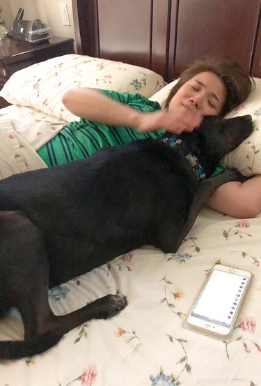 20 Real-Life Stories of Families Who Stubbornly Rejected Adding More Pets