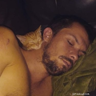 20 Real-Life Stories of Families Who Stubbornly Rejected Adding More Pets