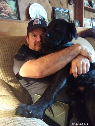 20 Real-Life Stories of Families Who Stubbornly Rejected Adding More Pets