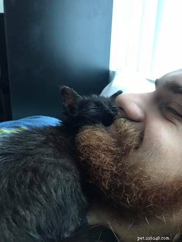 20 Real-Life Stories of Families Who Stubbornly Rejected Adding More Pets