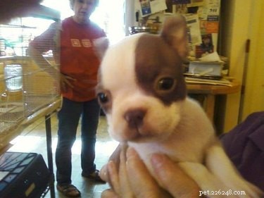 26 Adorable Baby Pets That Will Melt Your Heart