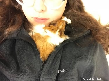 26 Adorable Baby Pets That Will Melt Your Heart