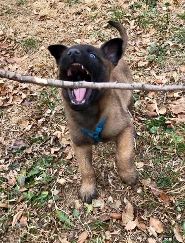 26 Adorable Baby Pets That Will Melt Your Heart
