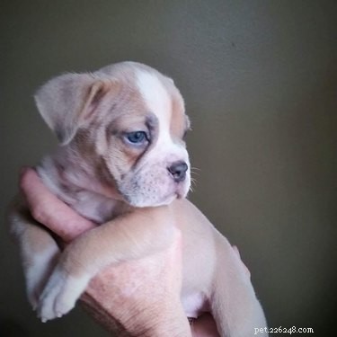 26 Adorable Baby Pets That Will Melt Your Heart