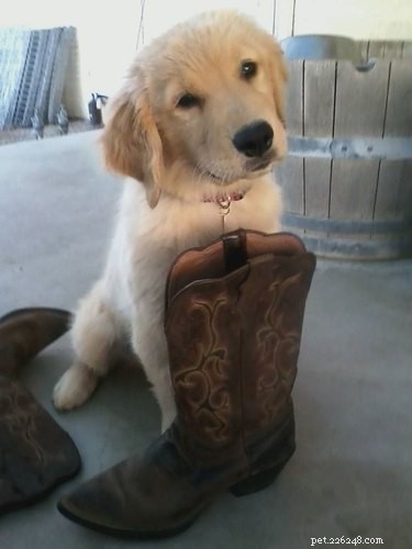 26 Adorable Baby Pets That Will Melt Your Heart
