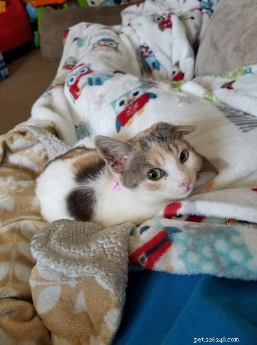 26 Adorable Baby Pets That Will Melt Your Heart