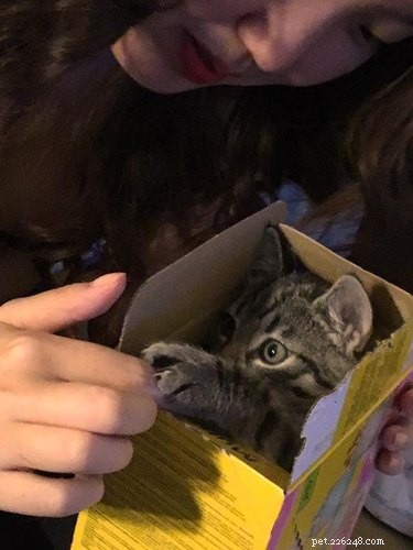 26 Adorable Baby Pets That Will Melt Your Heart