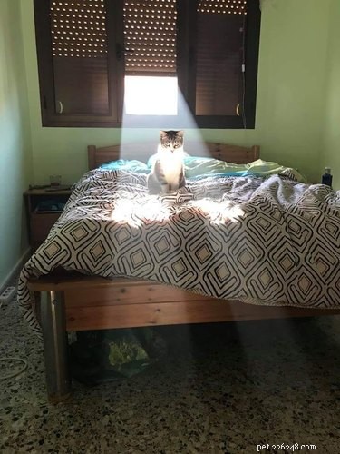 17 Delightful Pets That Will Warm Your Heart
