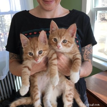 17 Delightful Pets That Will Warm Your Heart